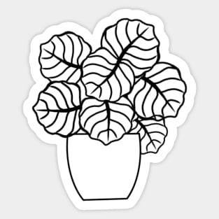 Color In Calathea Sticker